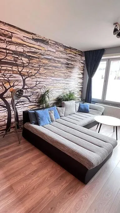 Appartement Op Wandelafstand Van Antwerpen City contacts